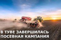 В Туве завершилась посевная кампания