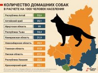 По регионам Сибири меньше всех кошек заводят жители Тувы