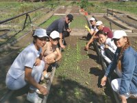 В Ботаническом саду Тувинского госуниверситета прошли практику 93 студента