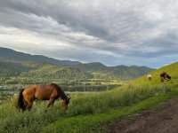 Завтра по Туве прогнозируются сильные дожди и шквалистый ветер