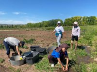 Студенты ТувГУ осваивали методику выращивания плодово-ягодных культур в Чербинском лесопитомнике