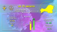 Число заболевших коронавирусом в Туве увеличивается через каждые сутки