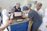 В Туву с начала года вернулись 56 врачей