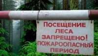 Двух жителей Тувы оштрафуют за посещение лесов в нарушение противопожарного режима