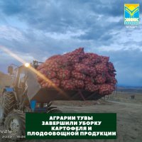 В Туве самая плодородная для картофеля земля - в Кызылском и Тандинском районах