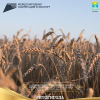Заслон засухе: в Пий-Хемском и Чаа-Хольском районах Тувы 714 гектаров земель оживит мелиорация