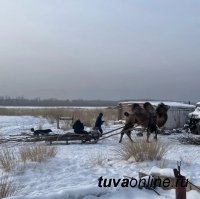 Сенатор Дина Оюн подарила к Шагаа верблюдоводу Радию Байкара солнечную батарею