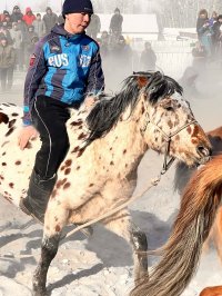 В Эрзинском кожууне Тувы проведены состязания по заарканиванию и объездке необъезженных лошадей