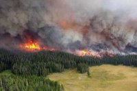 Тува готовится к пожароопасному периоду, прогнозируется до 87 крупных лесных пожаров