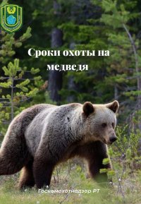В Туве стартует сезон охоты на медведей