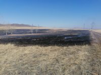 В Улуг-Хемском районе Тувы из-за неосторожного обращения с огнем начался степной пожар