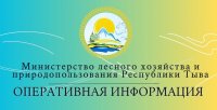 В Туве действует один лесной пожар на территории Каа-Хемского лесничества, снова по вине человека