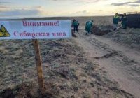 В Туве не подтвердился случай сибирской язвы, карантин в Кызылском районе снят