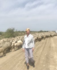 Тувинский сенатор Дина Оюн познакомилась с овцеводческим хозяйством в Дагестане