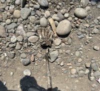 В столице Тувы Кызыле вновь обнаружены костные останки человека