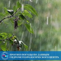 12 июля в Туве ожидаются грозы и сильные дожди