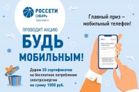 Среди добросовестных плательщиков за электричество через личный кабинет Тываэнерго разыграют мобильный телефон