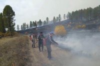 В Туве ограничения на посещение лесов будут действовать до 13 сентября