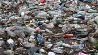 Мусоросортировочный комплекс в Туве запустят к 2026 году