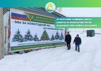 Минлесхоз Тувы напоминает - незаконная рубка ёлок строго наказуема