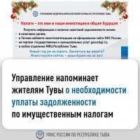 Жители Тувы задолжали свыше 240 млн рублей в виде различных налогов