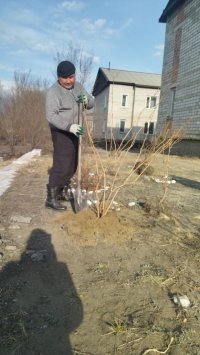 Чечена Дувендея называют лучшим волонтером Тувы, помогающим инвалидам