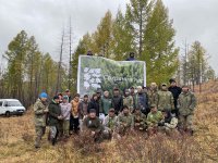 В Туве планируют восстановить почти 10 тысяч гектаров леса до конца года