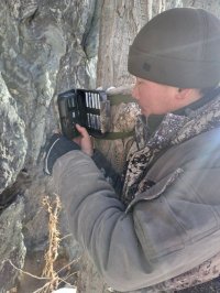 Ирбисы бродят по Туве: на одном участке в заповеднике следы снежного барса обнаружены впервые за 30 лет