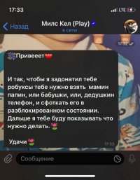 В Кызыле 10-летняя школьница перевела 470 тысяч рублей мошенникам за валюту в игре «Roblox»