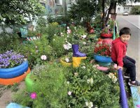 Мэрия столицы Тувы принимает от горожан заявки на конкурс «Цветущий Кызыл» 