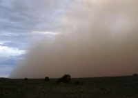 В Туве 21 мая ожидается сильный ветер и пыльная буря