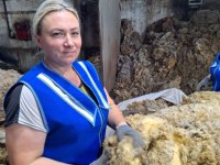 Тува поделилась в Ставрополе на федеральном штабе опытом привлечения техникумов к развитию креативных индустрий с использованием овечьей шерсти