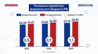 Сенатор от Тувы Дина Оюн: Парламентские слушания по проекту бюджета - это действенный инструмент учета мнения регионов
