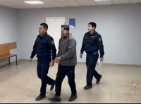 Полицейские Тувы и Хакасии при помощи беспилотника выследили и задержали конокрадов, угнавших 26 лошадей