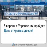 Налоговая служба Тувы на дне открытых дверей поможет жителям с заполнением деклараций