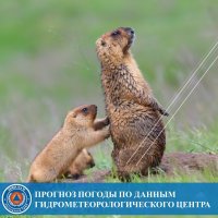 В Туве 14 мая прогнозируется похолодание и дожди
