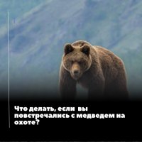Госкомохотнадзор Тувы напоминает об опасной возможности столкнуться с медведем в весенней тайге