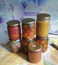 Полиция Кызыла раскрыла кражу домашних заготовок