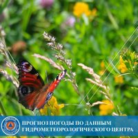 В пятницу 20 июня в Туве ожидается жара в +40°С