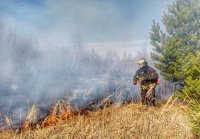 Жителям Тувы полностью запретили посещать леса