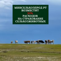 Минсельхозпрод Тувы возмещает половину расходов на страхование сельхозживотных
