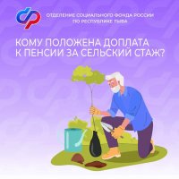 Социальный фонд объяснил, кто из пенсионеров Тувы может получать доплату за сельский стаж
