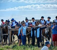 Жители Тувы могут наблюдать за республиканским чемпионатом по скачкам онлайн