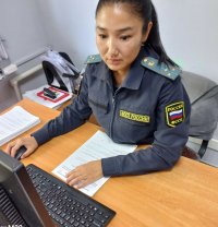 В Туве владелец 9 автомобилей и 5 земельных участков отказывался погашать долг за электроэнергию
