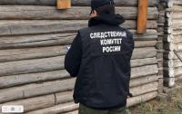 В Туве 13-летний помощник табунщика при перегоне лошадей погиб от удара молнией