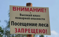 В Туве в связи с введением режима ЧС в лесах действует запрет на посещение лесной зоны