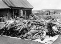 От мешков зерна к безналичным платежам: 100 лет со дня образования Танну-Тувинского торгово-промышленного банка