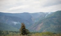 В лесах Тувы продолжает действовать режим ЧС, за сутки возникло 5 новых пожаров