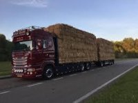 Из Тувы не выпустили три десятка коров без документов