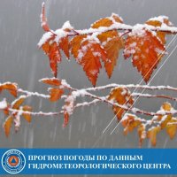 3 октября в Туве ожидается мокрый снег, ночью до - 9°С